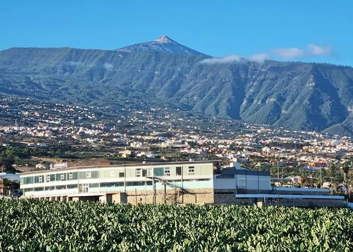 Lola Preciosa Con Vistas Espectaculares * 푸에르토 드 라 크루즈